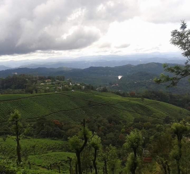 Munnar Lush Greens 외부 사진