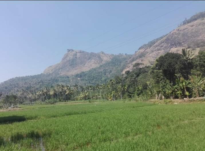 Munnar Lush Greens 외부 사진